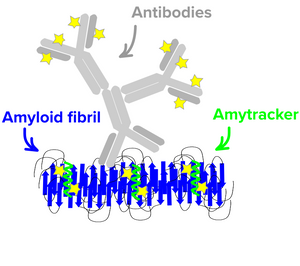 Amytracker for super-resolution microscopy