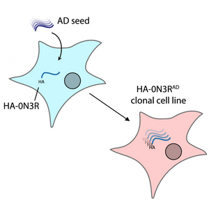 Tracing Tau: A Step Closer to Understanding Neurodegeneration