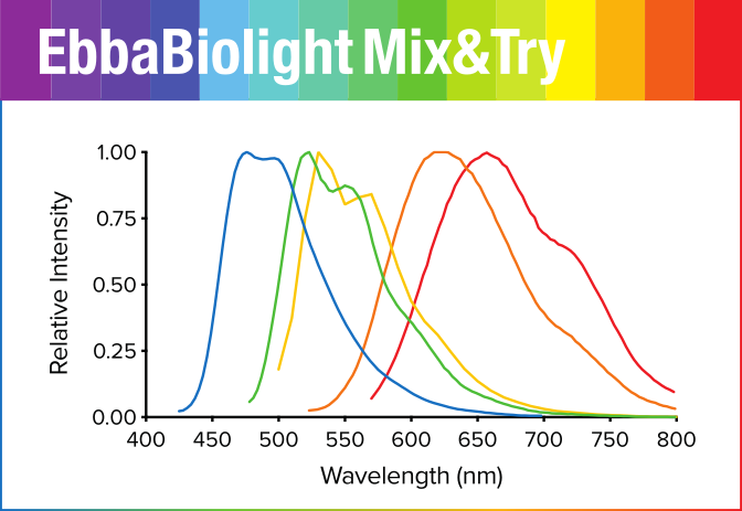 EbbaBiolight Mix&Try