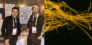 Cellulose Fibers Conference 2023