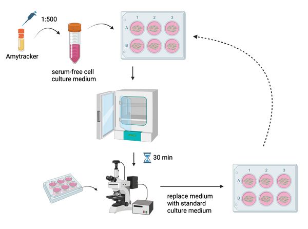 Live-cell imaging