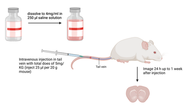 Amytracker for systemic injection