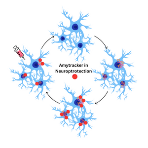 Amytracker in action for Neuroprotection