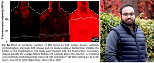 Carbotrace Webinar - 21st October