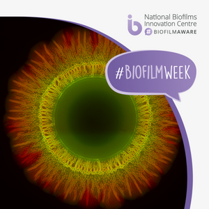 Biofilm week 2023