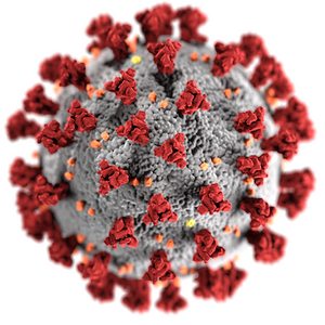 Amyloidogenicity of SARS-CoV-2 spike protein