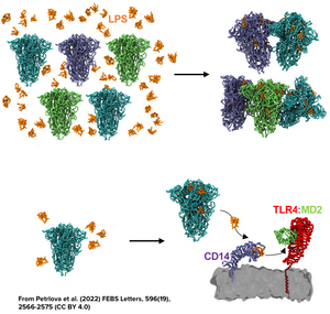 Amytracker and Long Covid