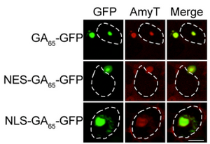 Exciting breakthrough in neuroscience research!