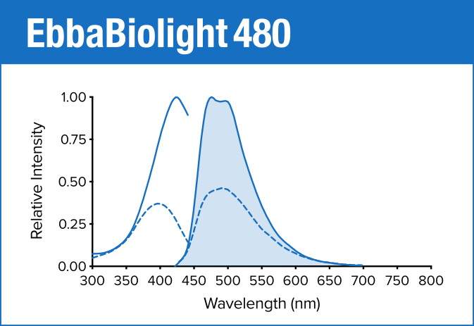 EbbaBiolight 480