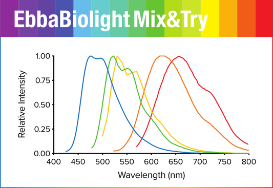 EbbaBiolight Mix&Try