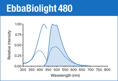 EbbaBiolight 480